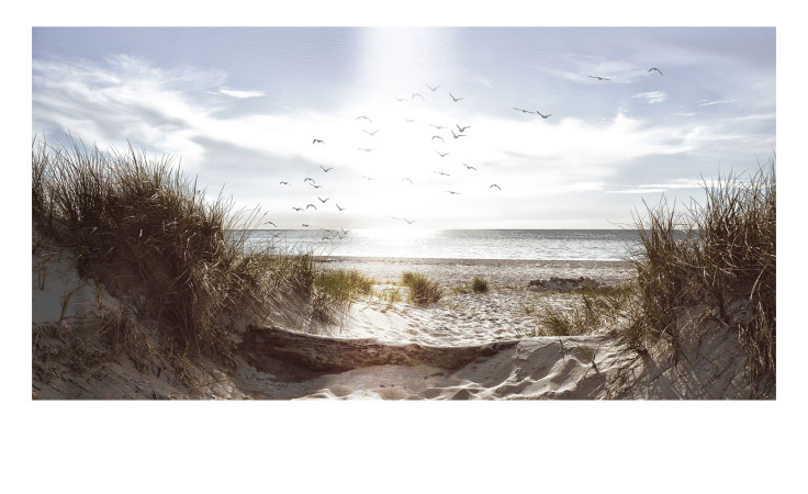 Alubild Sunset on the Coast 100 x 200 cm