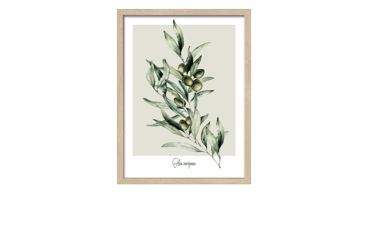 Rahmenbild Oliven 33 x 43 cm