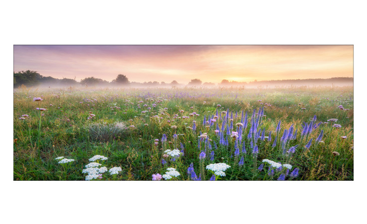 Glasbild Morning Haze 30 x 80 cm