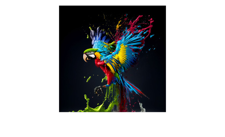 Glasbild Colorful Ara 50 x 50 cm