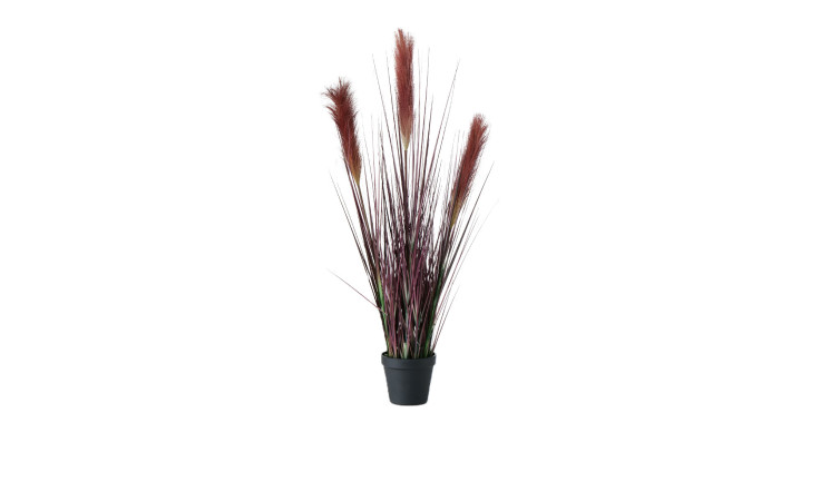 Deko-Borstenhirse 78cm 