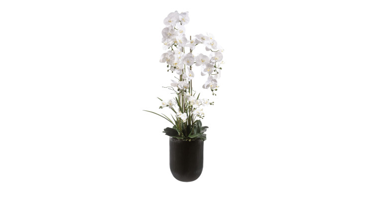 Orchidee 150 cm 
