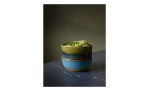 Poke Bowl 18 cm