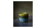Poke Bowl 18 cm
