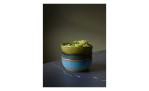 Poke Bowl 18 cm