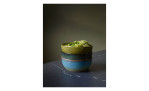 Poke Bowl 18 cm