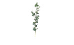 Eukalyptus 74 cm aus Kunststoff in grün.