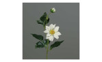 Dahlien-Pick 40 cm aus Kunststoff mit weißen Blüten und grünen Stiel und Blätter. Auf einem grauen Hintergrund.