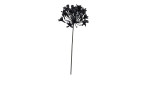 Agapanthus 72 cm aus Kunststoff in schwarz.