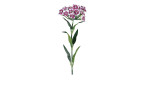 Dianthus 55 cm aus Kunststoff mit lila / weißen Blüten und grünen Stiel und Blätter.