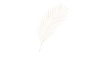 Farnzweig 80 cm in beige