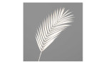 Farnzweig 80 cm in beige, mit einem grauen Hintergrund