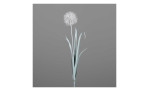 Pusteblume 100 cm in beige mit einem grauen Hintergrund