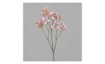 Schleierkraut 70 cm in rosa