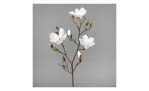 Magnolie 87 cm in beige, mit einem grauen Hintergrund
