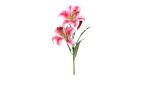 Lilie 78 cm in pink