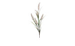 Fruchtstand 84 cm in beige