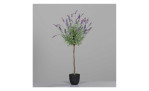 Lavendel-Kugelbaum 90 cm in einem schwarzen Pflanztopf, mit einem grauen Hintergrund