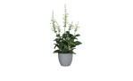 Salbei 42 cm in beige