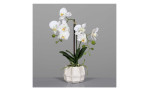 Orchidee 48 cm in weiß, mit einem grauen Hintergrund