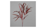Eukalyptus 80 cm in rot, mit einem grauen Hintergrund