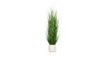 Gras 170 cm