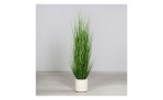 Gras 170 cm