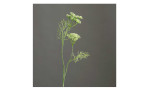 Dill 56 cm aus Kunststoff in grün mit weißen Applikationen. Auf einem grauen Hintergrund.