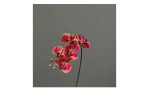 Orchidee 52 cm aus Kunststoff mit pink / gelben Blüten und einem grünen Stiel. Auf einem grauen Hintergrund.