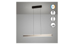 LED-Pendelleuchte Aluro 121 cm