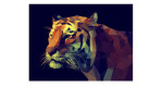 Leinwandbild Colourful Tiger 90 x 120 cm