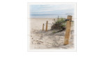 Leinwandbild Sand Dunes 30 x 30 cm