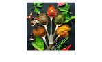 Leinwandbild Vintage Herbage 30 x 30 cm