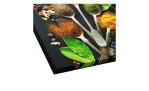 Leinwandbild Vintage Herbage 30 x 30 cm