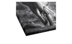 Leinwandbild Grey Elephant Head 30 x 30 cm