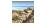 Leinwandbild Ostsee 30 x 30 cm
