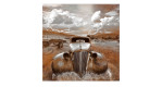 Alubild Lost Car 100 x 100 cm
