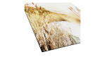 Alubild Wilder Strand 100 x 100 cm