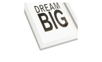 Rahmenbild Dream Big 24 x 19 cm