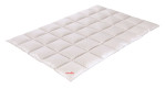 Daunenbett Sinfonie 90 135 x 200 cm