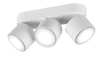 LED-Deckenleuchte Taurus
