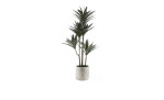 Yucca-Palme 78 cm mit grünen Blättern und braunen Stiel aus Kunststoff.