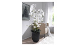 Orchidee 150 cm 