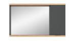 Spiegelschrank Nevada mit großer Spiegelfläche links und anthrazitfarbenem Schrank rechts. Boden- und Deckplatte holzfarben. Von vorne fotografiert.