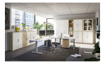 Büro-Regal vito Vary im Dekor Birke, Milieu